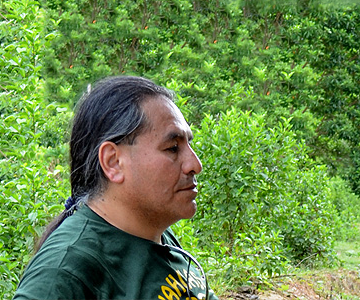 Lecznicze diety roślinne – dieta Dżungli