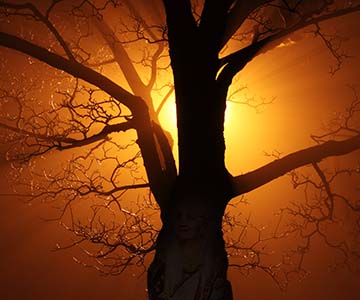 Szamanizm czyli człowiek jako istota Uczucia