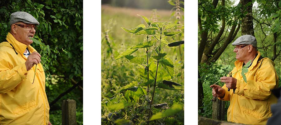 Słowiańska Natura – Czas Korzeni: Lato