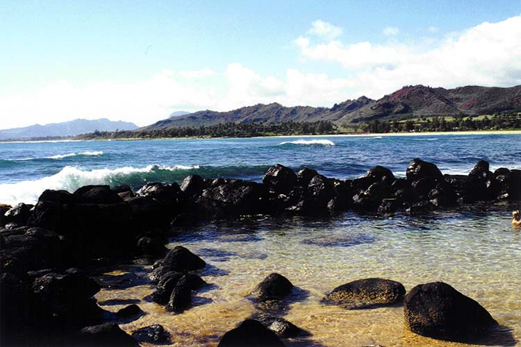 Sobota dla Zdrowia i Dobrego Samopoczucia