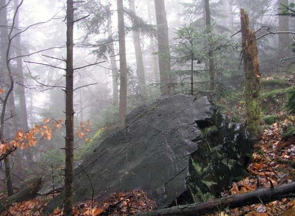 Słowiańskim Tropem